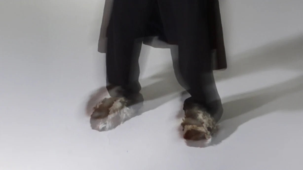 SLIPPER - WILLIAM FAN