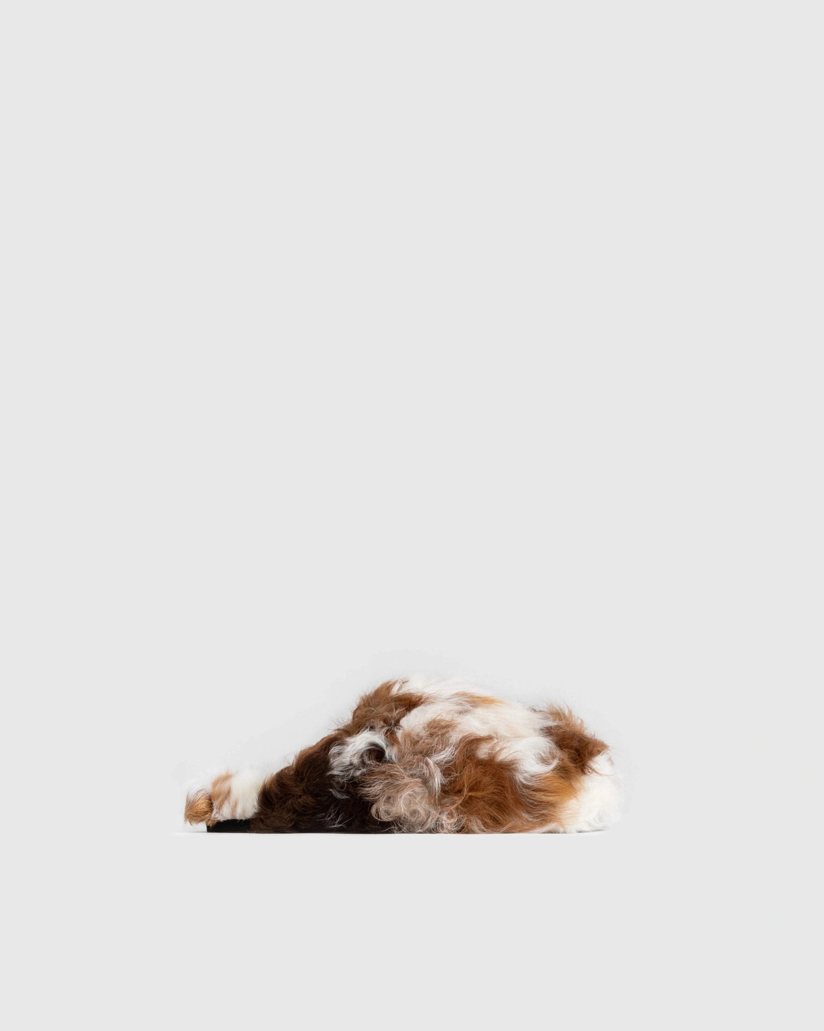 NEO SLIPPER - WILLIAM FAN
