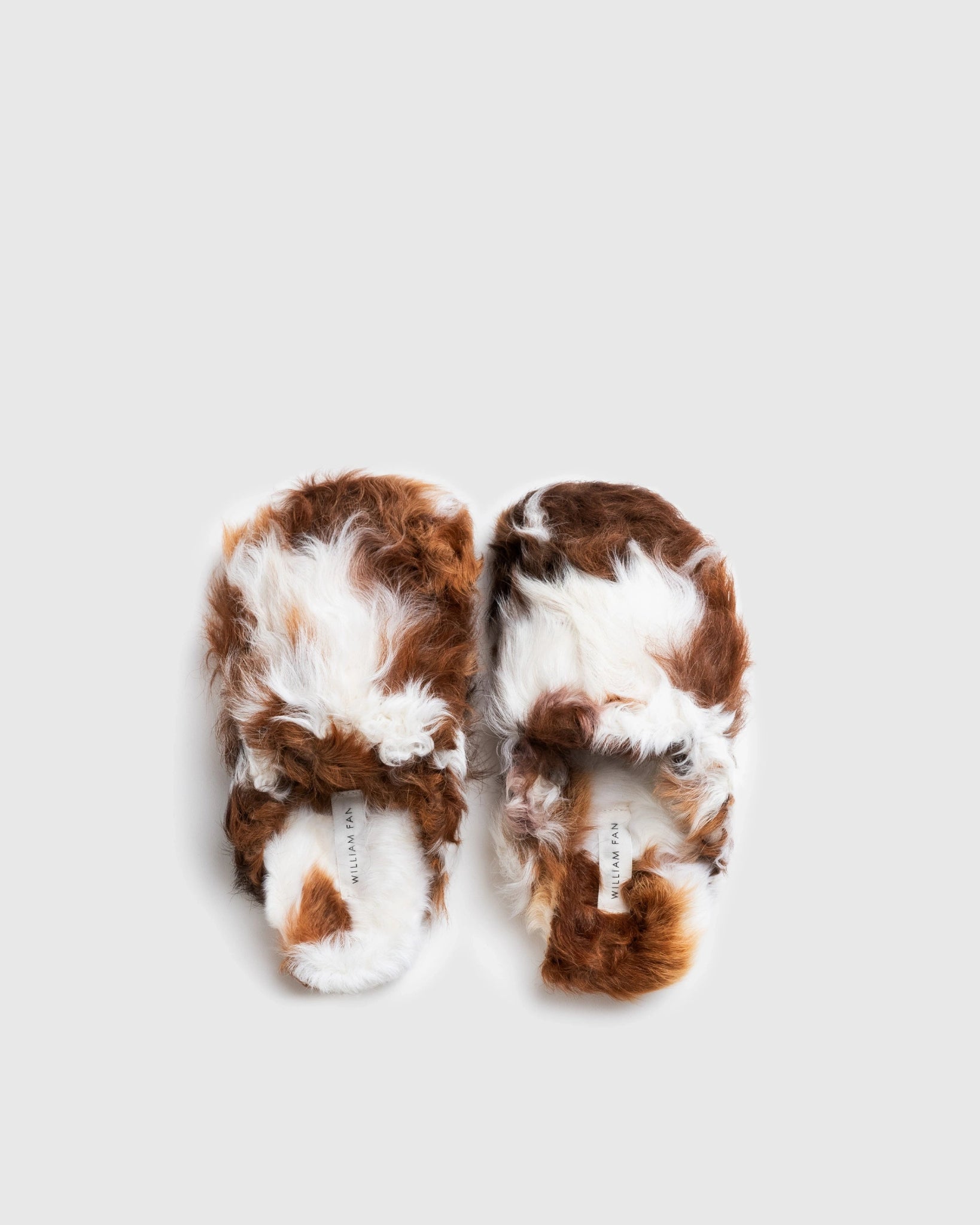 NEO SLIPPER - WILLIAM FAN